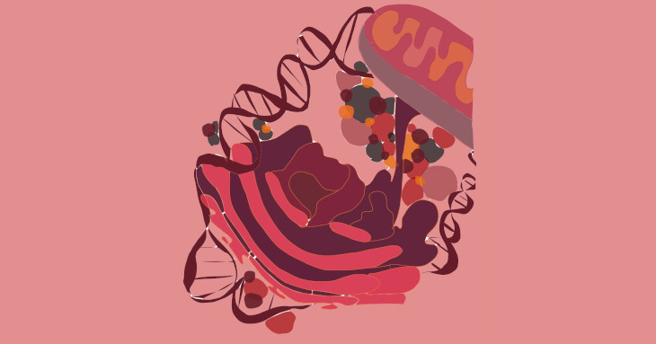 Biologia Molecular e Bioinformática na Investigação dos Erros Inatos do Metabolismo
